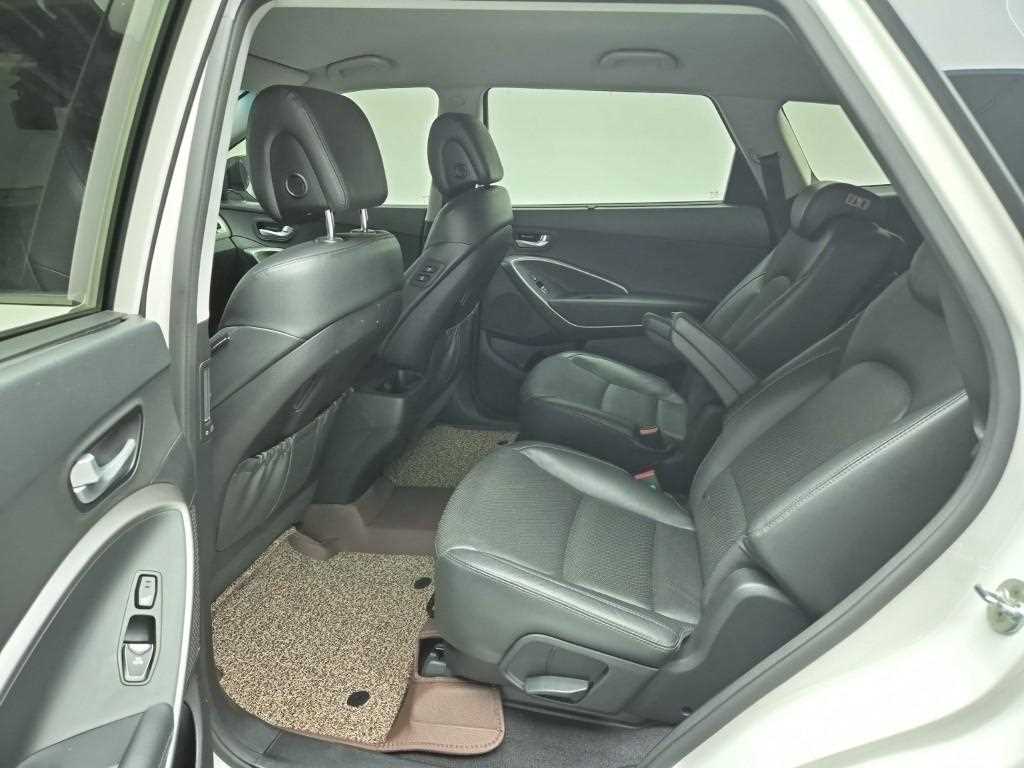 HYUNDAI Maxcruz - Vista 11