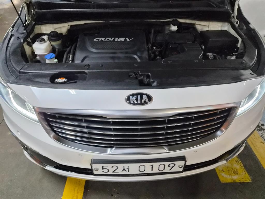 KIA Carnival - Vista 6