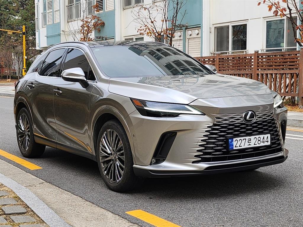Lexus RX - Vista 3