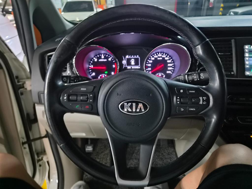 KIA Carnival - Vista 8