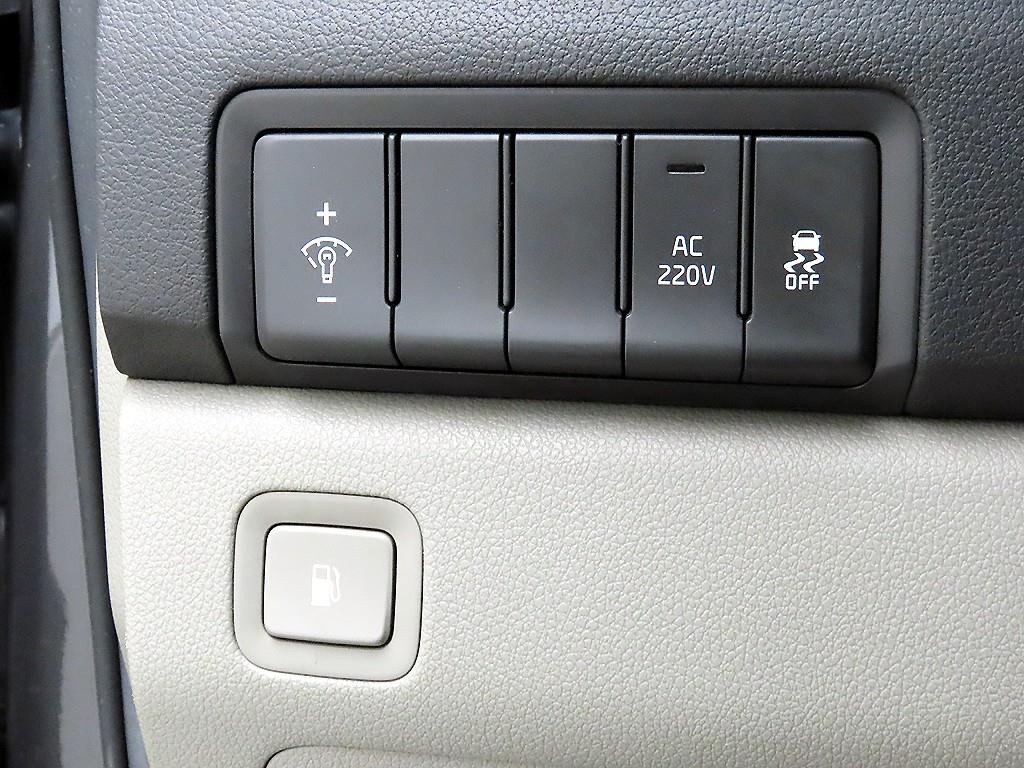 KIA Carnival - Vista 12