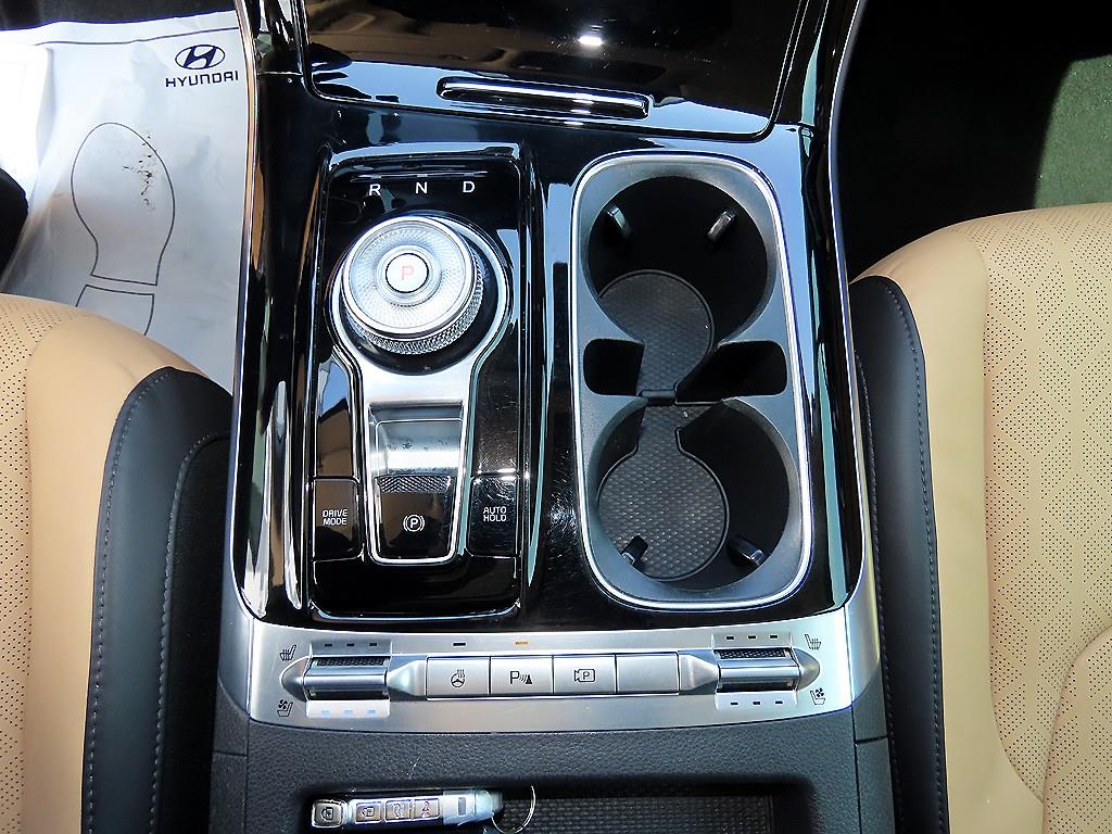 KIA Carnival - Vista 10