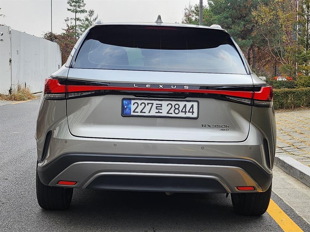 Lexus RX - Vista 6