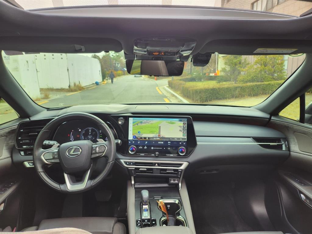 Lexus RX - Vista 12