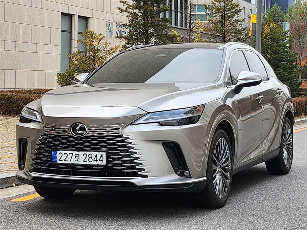 Lexus RX - Vista 2