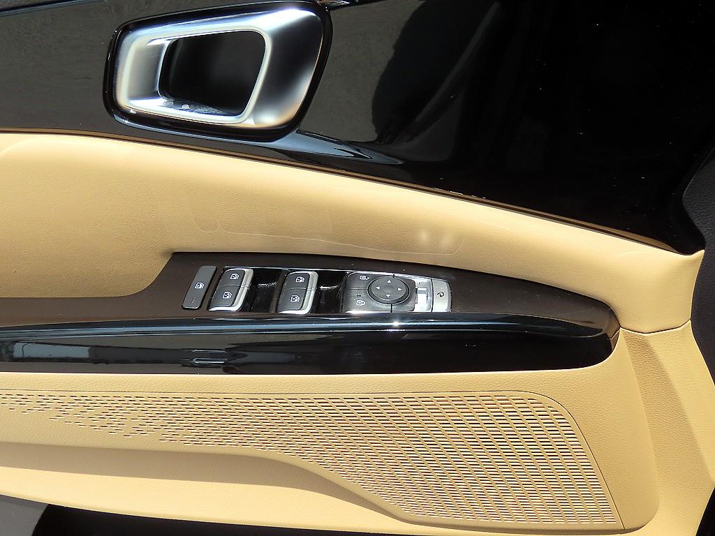 KIA Carnival - Vista 11