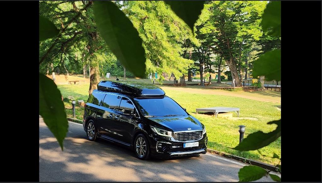 KIA Carnival - Vista 9