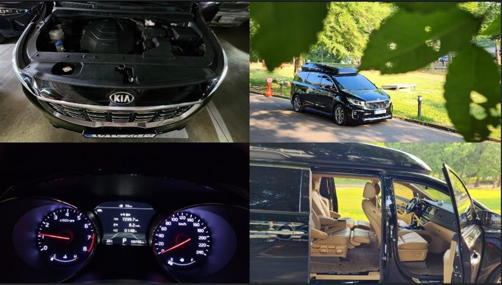 KIA Carnival - Vista 8