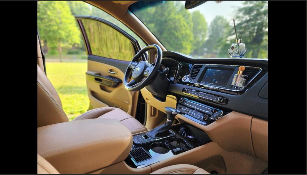 KIA Carnival - Vista 12