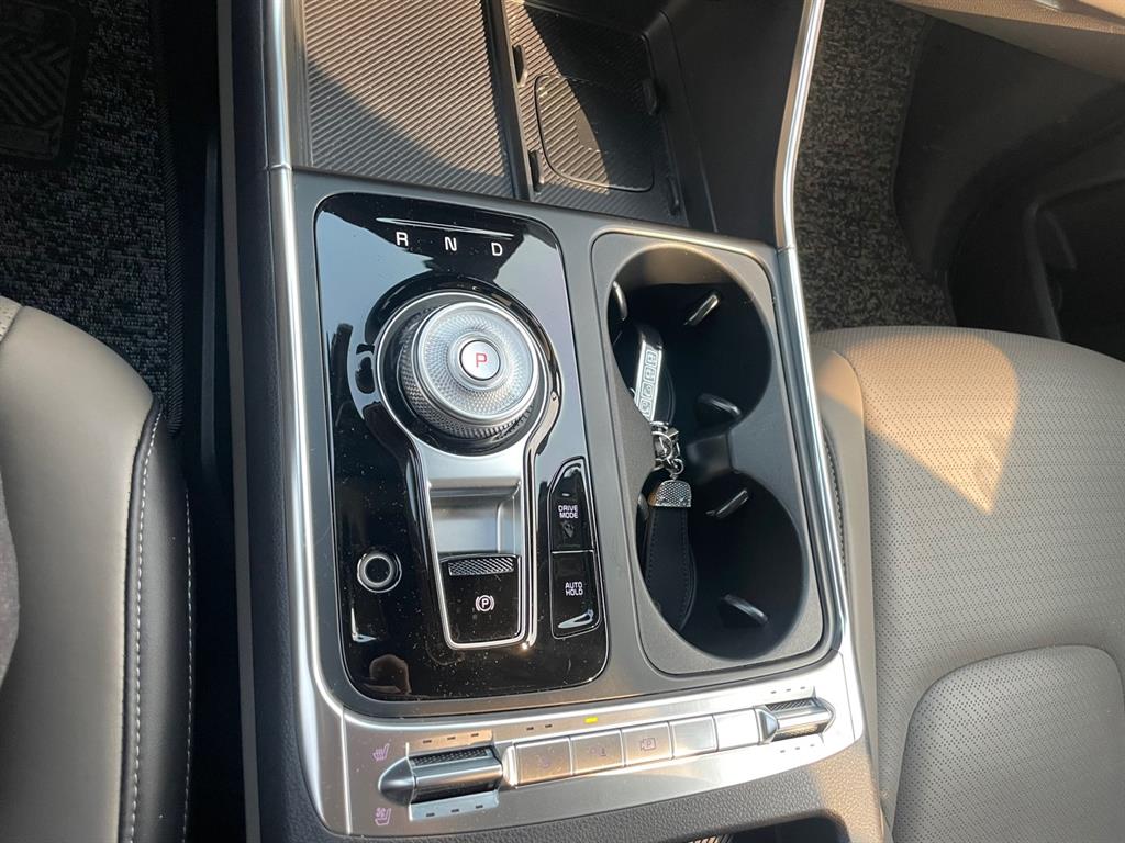 KIA Carnival - Vista 12