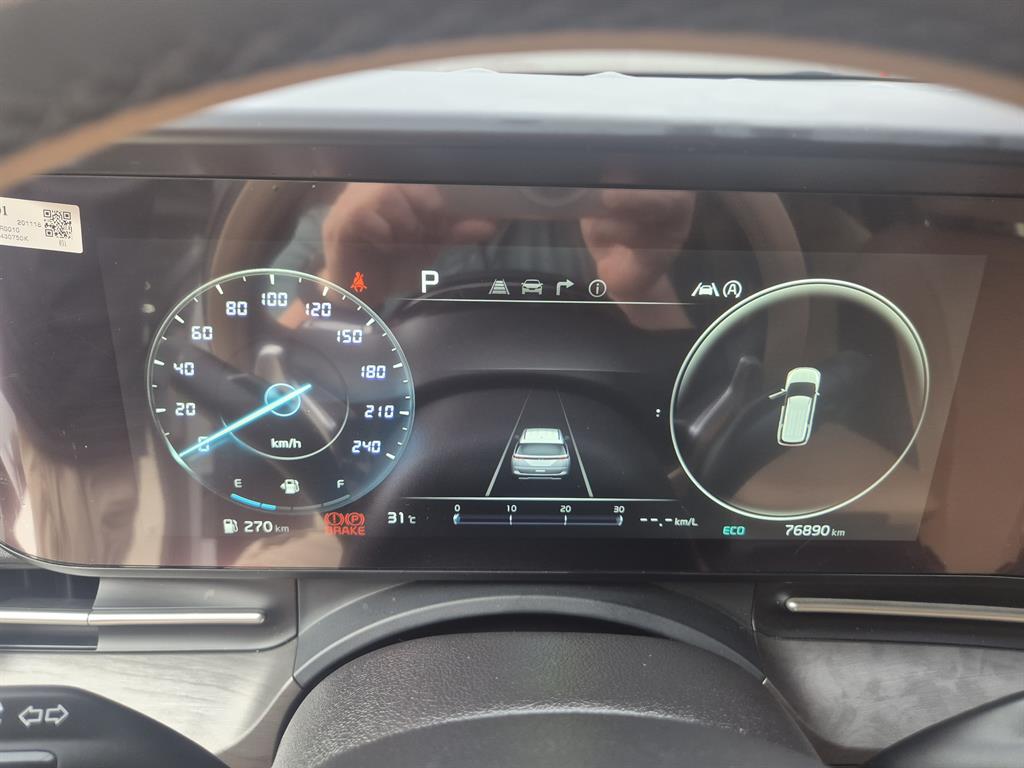 KIA Carnival - Vista 11