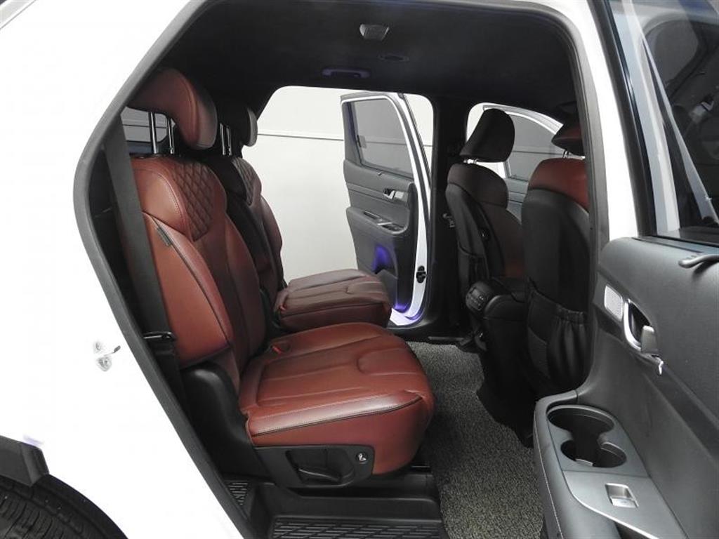 HYUNDAI Palisade - Vista 8