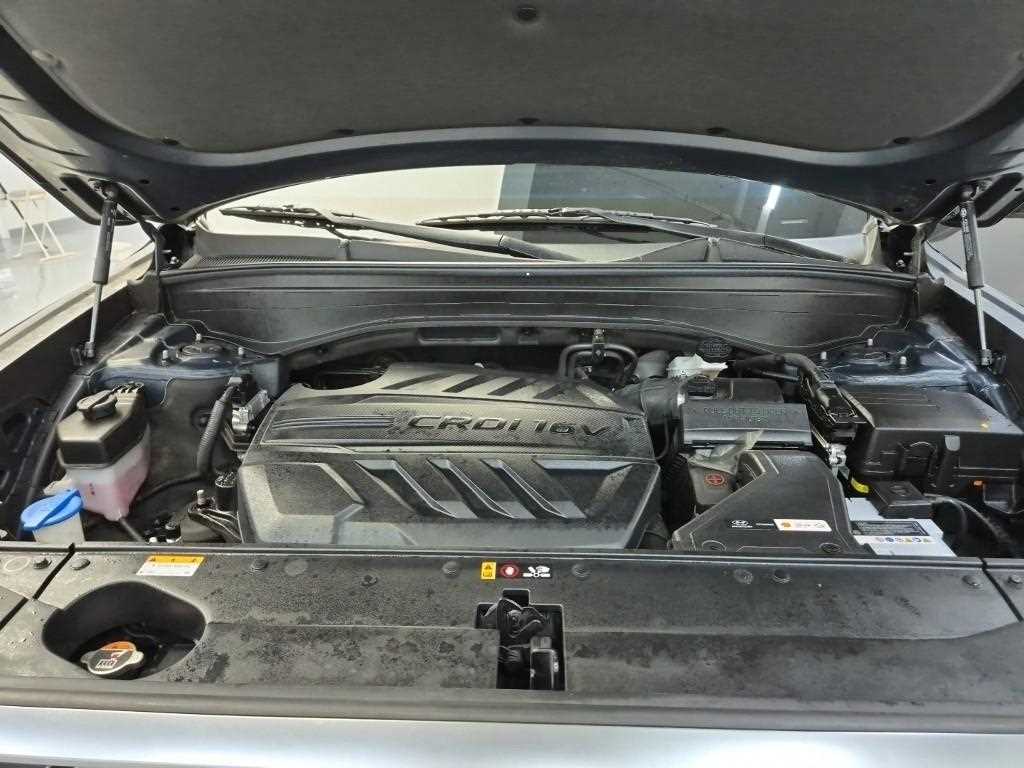 HYUNDAI Palisade - Vista 5