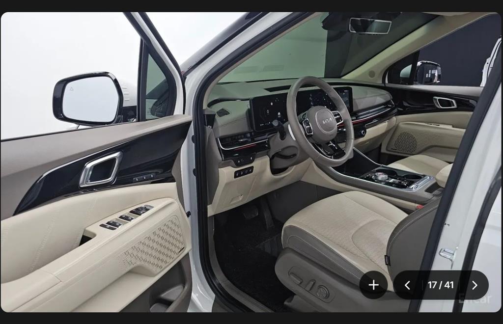 KIA Carnival - Vista 12
