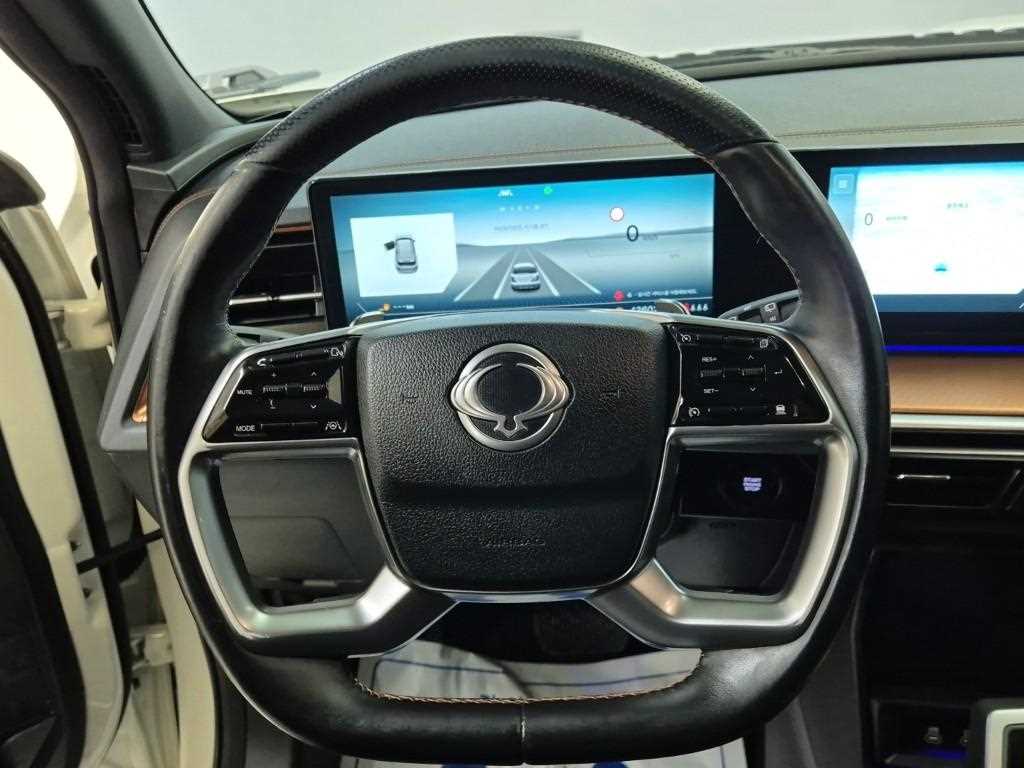 Ssangyong Torres - Vista 9
