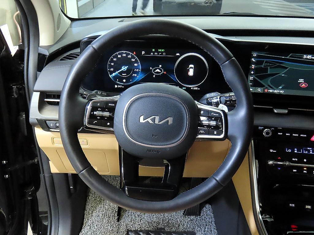KIA Carnival - Vista 8