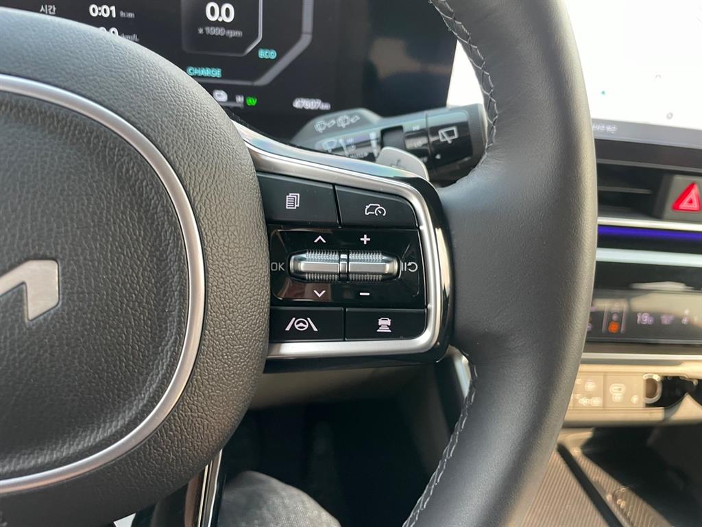 KIA Carnival - Vista 11
