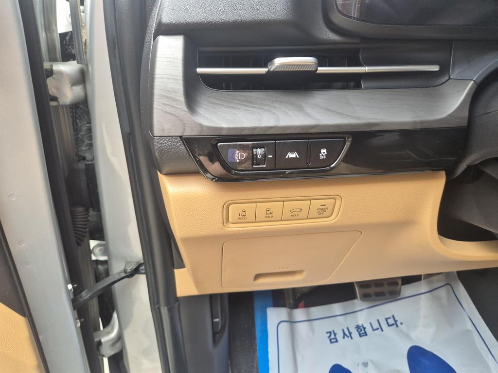KIA Carnival - Vista 9