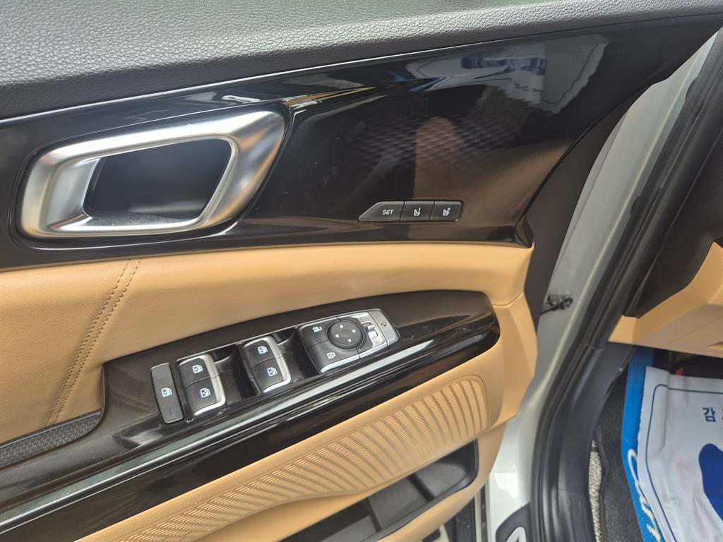 KIA Carnival - Vista 8