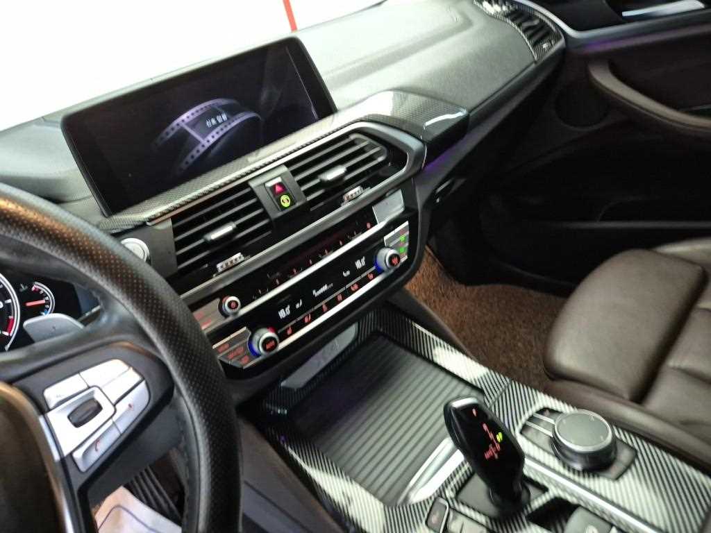 BMW X4 - Vista 10
