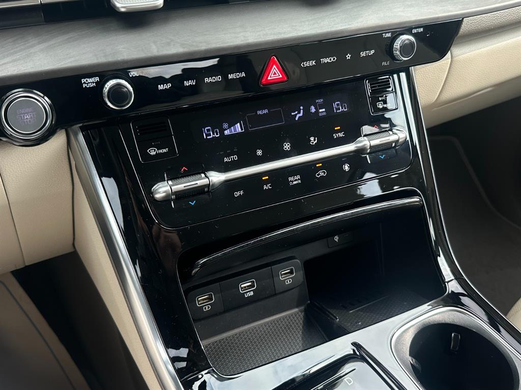 KIA Carnival - Vista 12