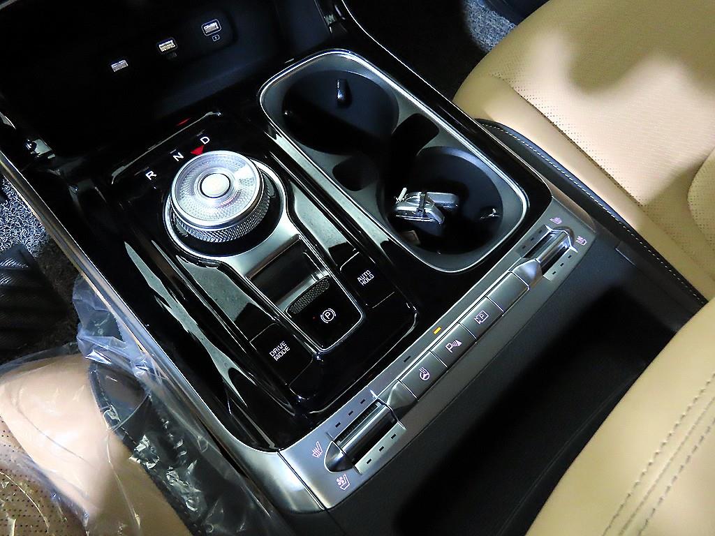 KIA Carnival - Vista 12