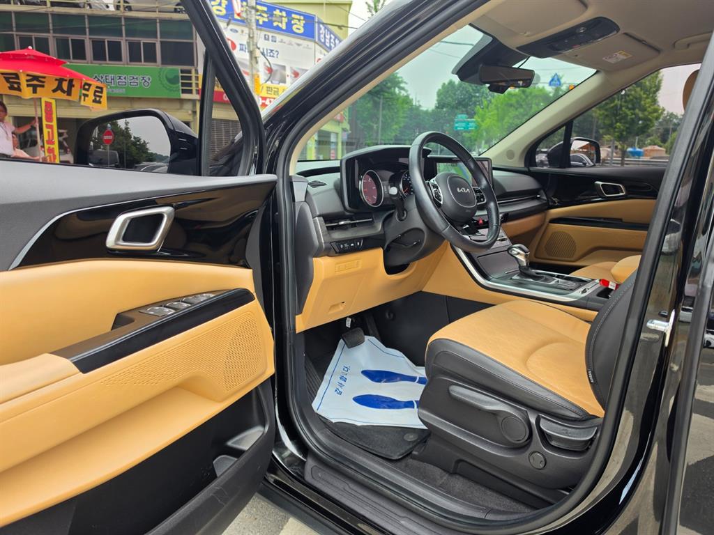 KIA Carnival - Vista 9