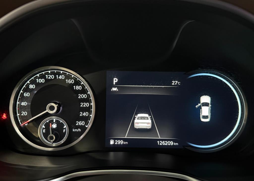 Genesis G80 - Vista 10