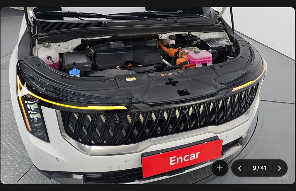 KIA Carnival - Vista 6