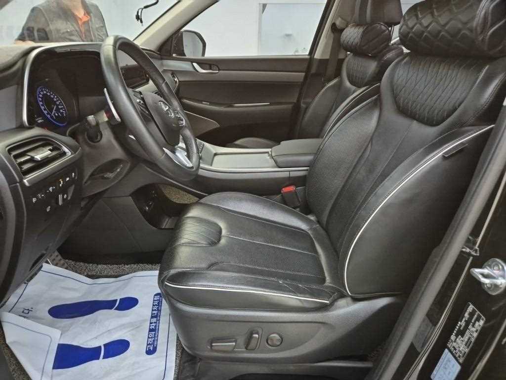 HYUNDAI Palisade - Vista 11