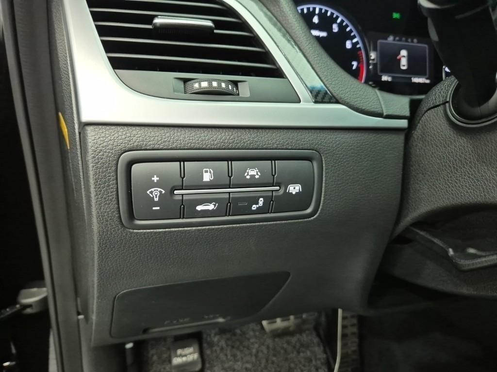 HYUNDAI Genesis - Vista 12
