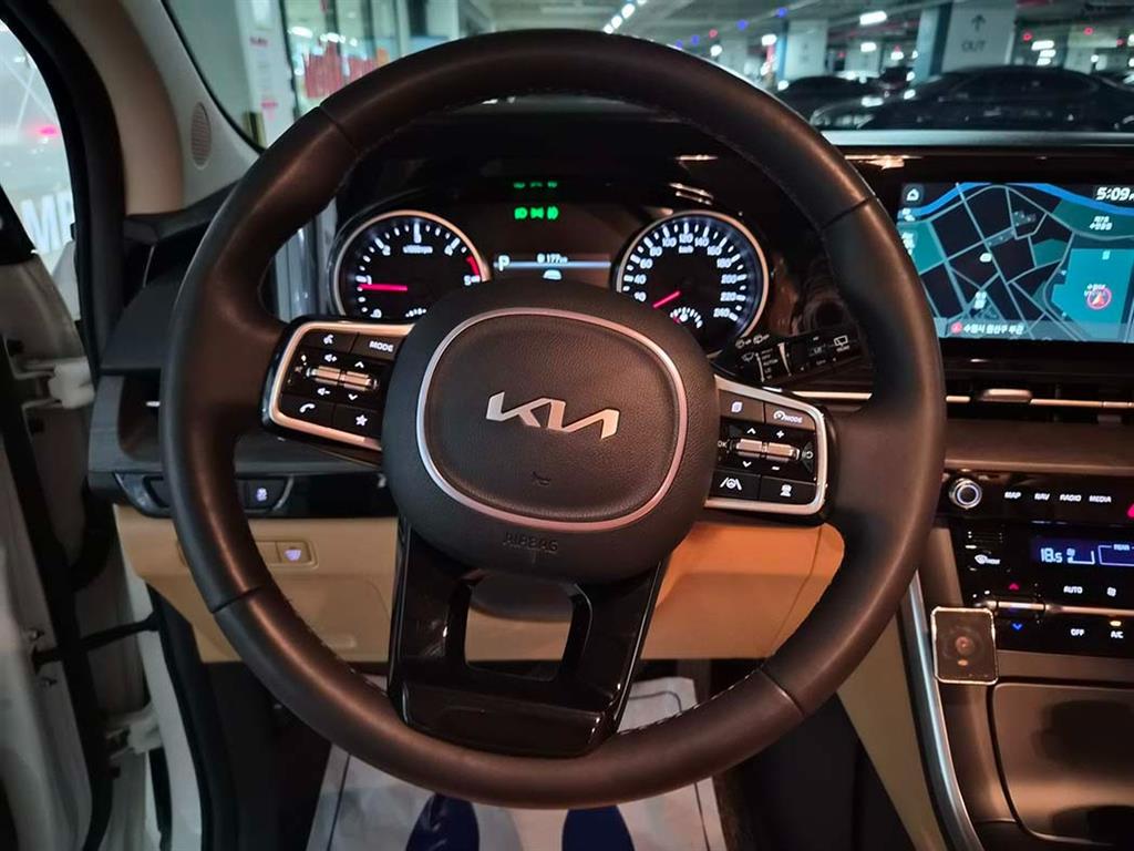 KIA Carnival - Vista 9
