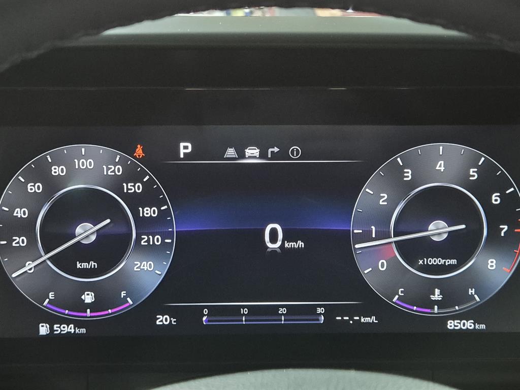 KIA Carnival - Vista 12