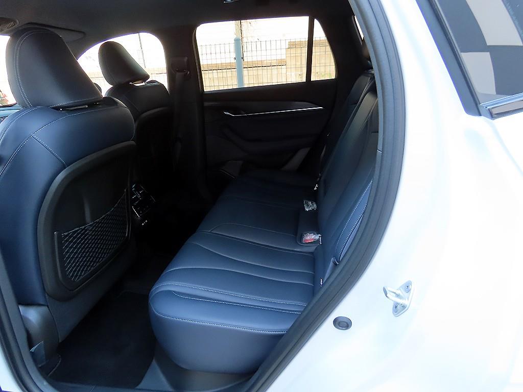 SAMSUNG Grand Koleos - Vista 6