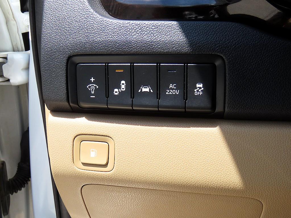 KIA Carnival - Vista 12