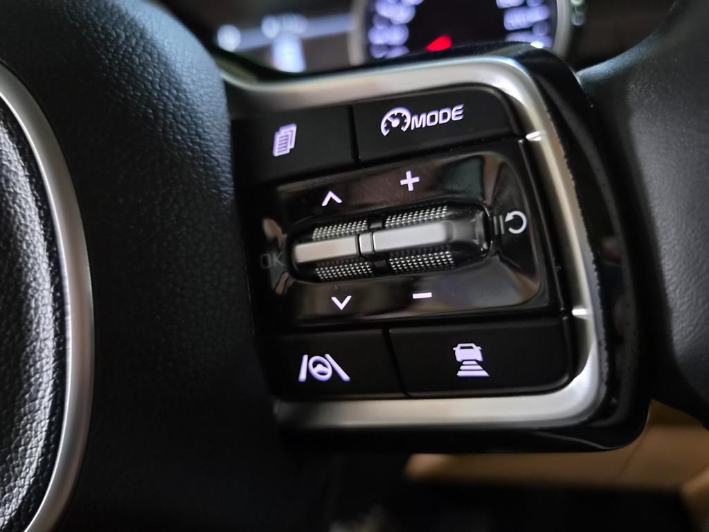 KIA Carnival - Vista 10