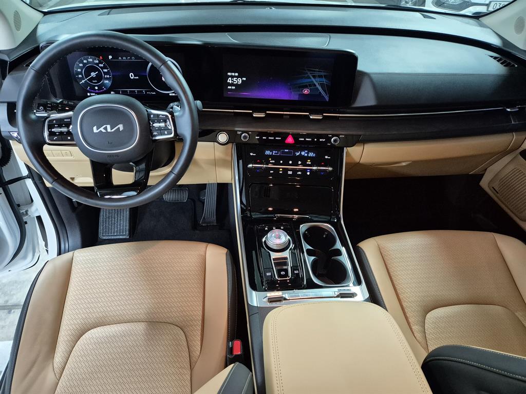 KIA Carnival - Vista 7