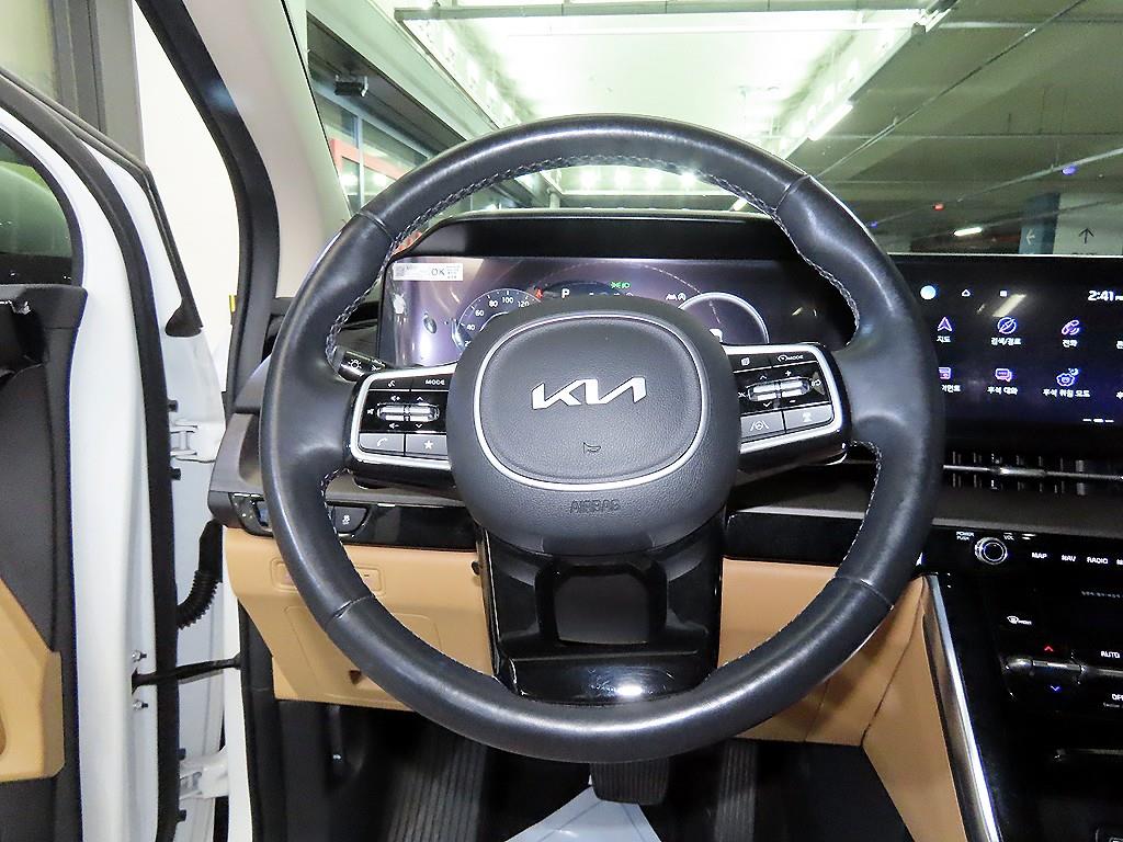 KIA Carnival - Vista 8