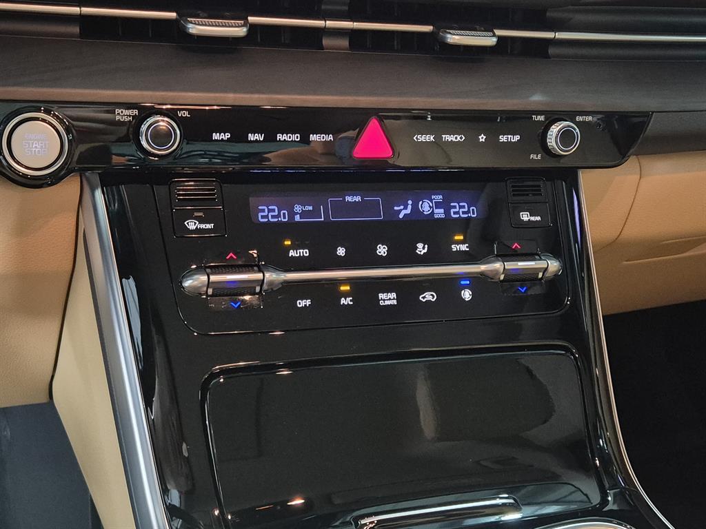 KIA Carnival - Vista 11