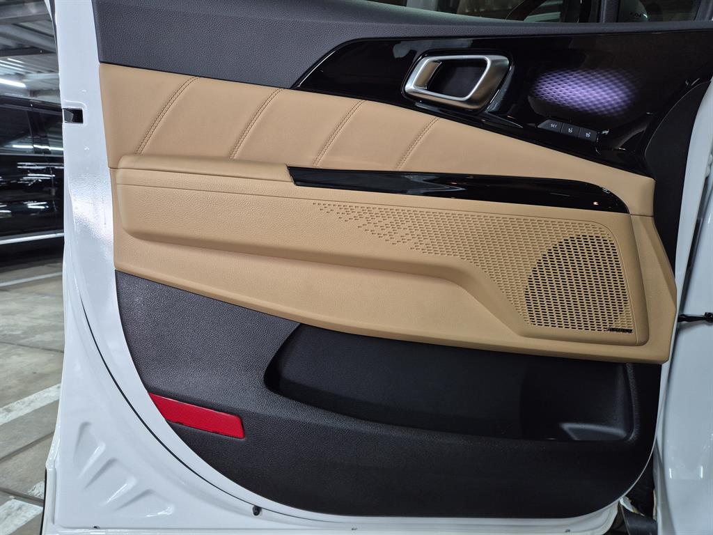 KIA Carnival - Vista 9