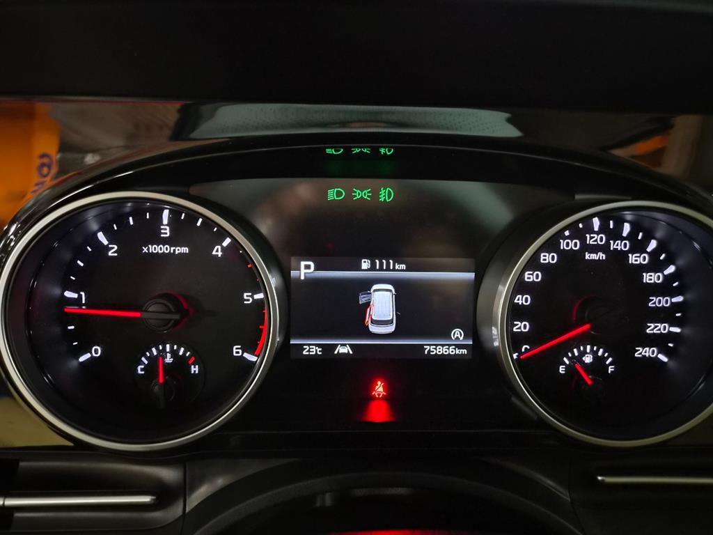 KIA Carnival - Vista 8