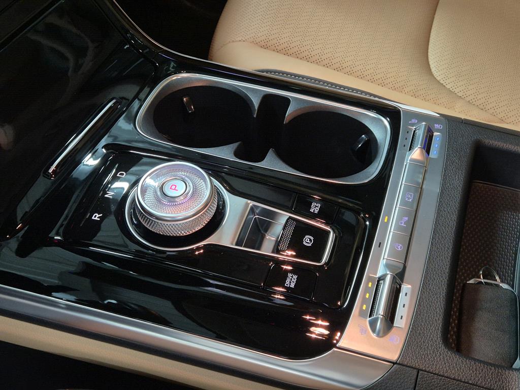 KIA Carnival - Vista 10