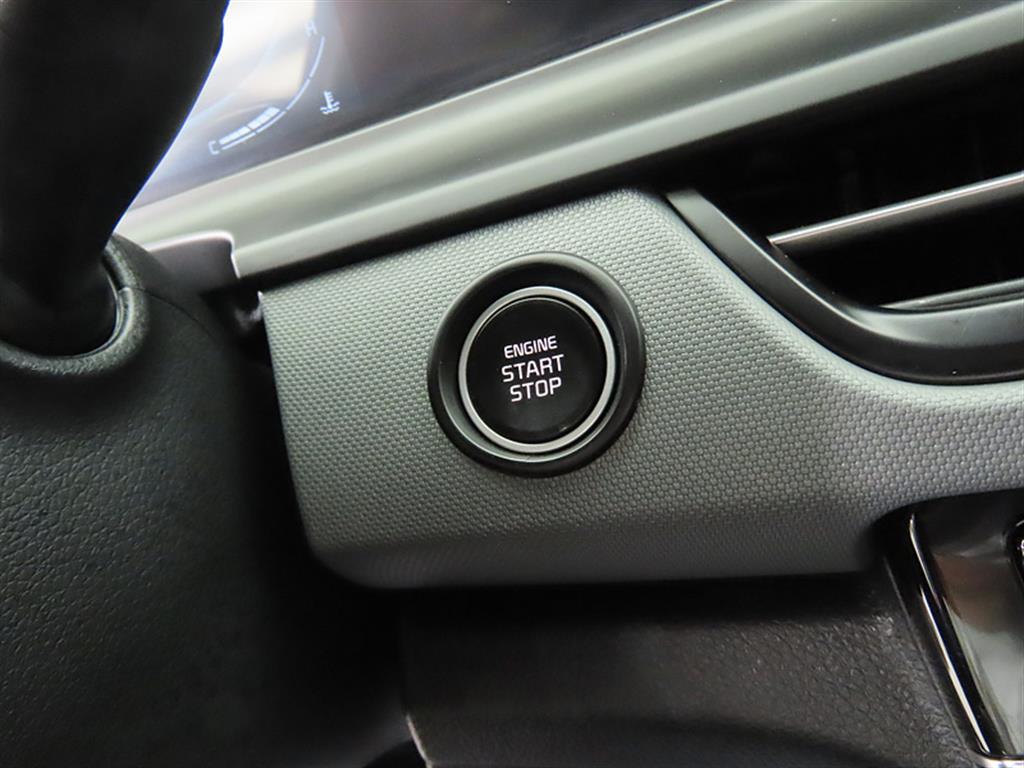 KIA Seltos - Vista 11