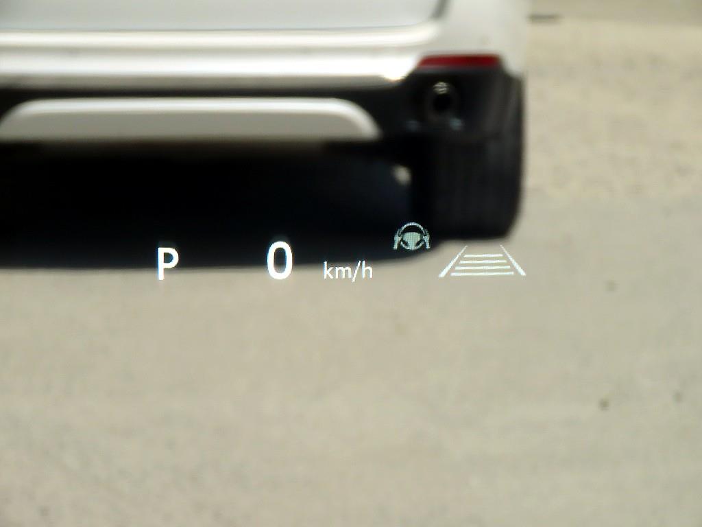 Toyota Alphard - Vista 10