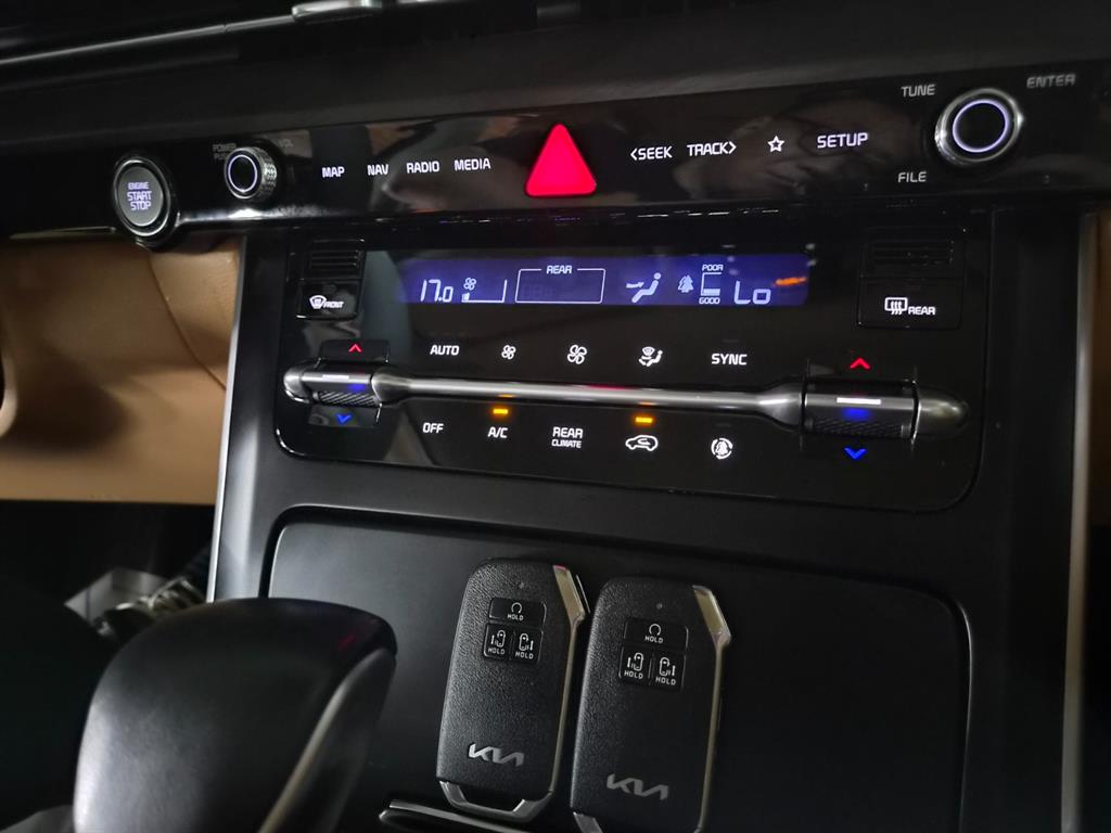 KIA Carnival - Vista 11