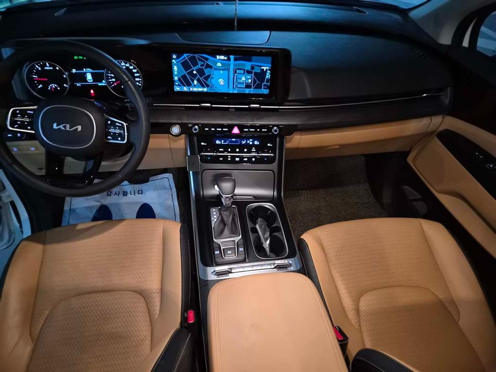 KIA Carnival - Vista 11