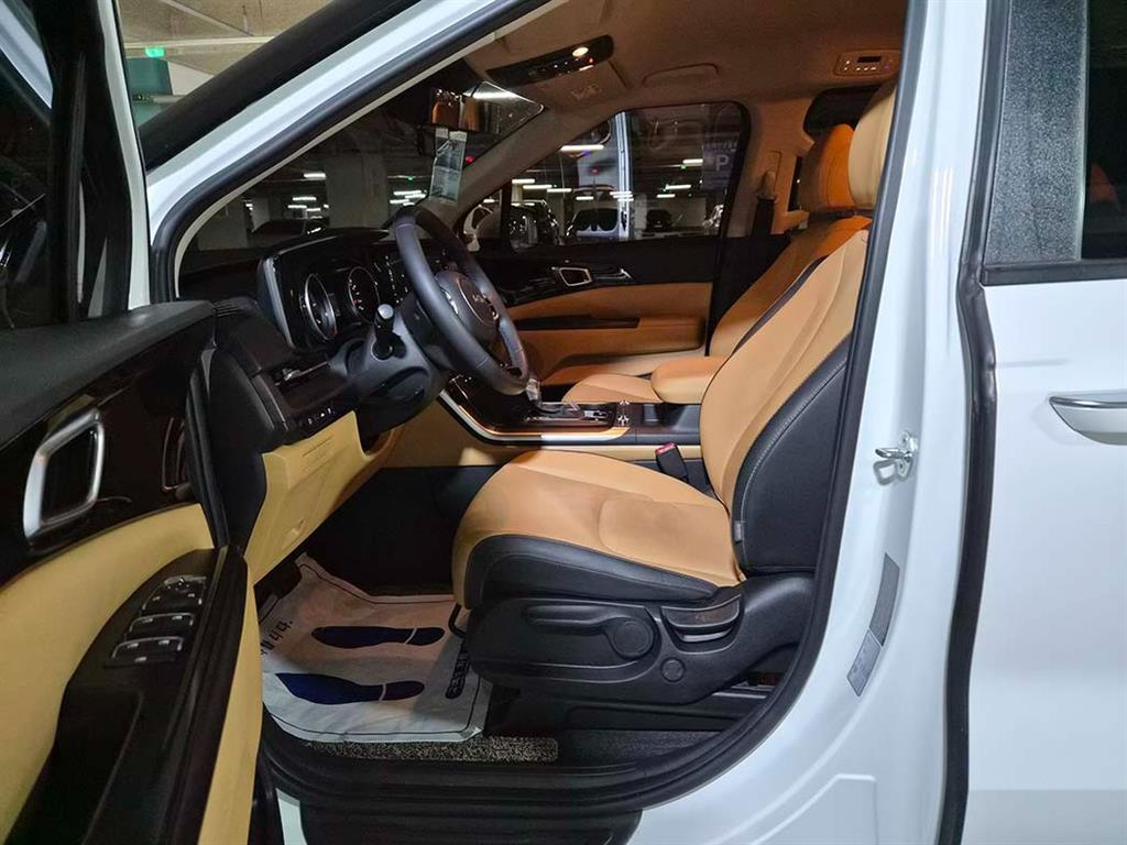 KIA Carnival - Vista 6