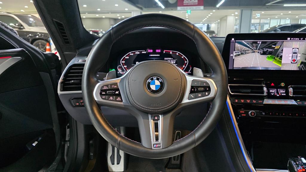 BMW 8 Series - Vista 10