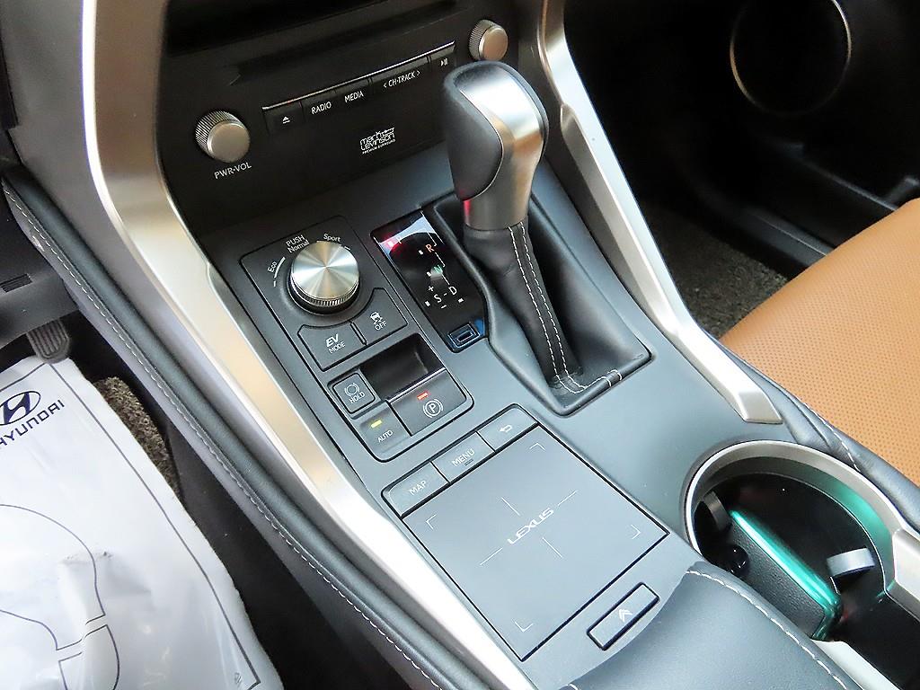Lexus NX - Vista 10