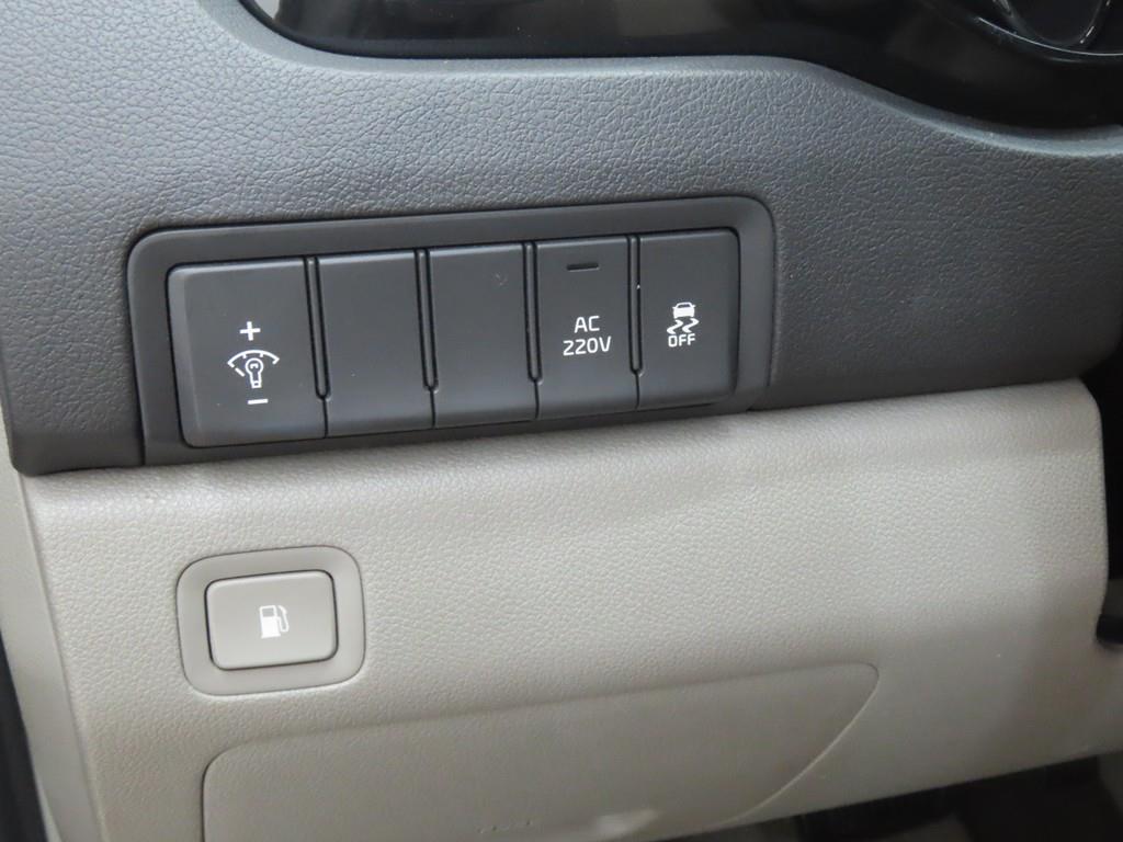 KIA Carnival - Vista 10